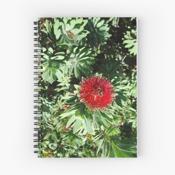 Item preview, Ohia Lehua designed and sold by Angel35.