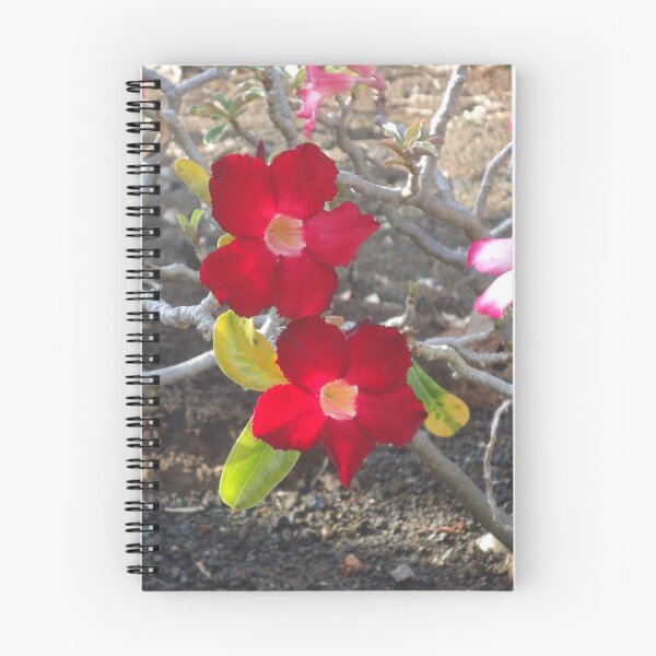 Item preview, Adenium  designed and sold by Angel35.