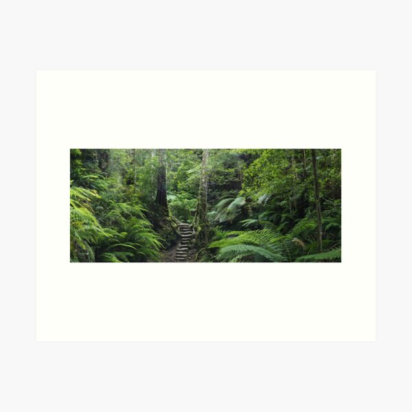 Item preview, The Fernery, Grand Canyon. designed and sold by Andy Newman.