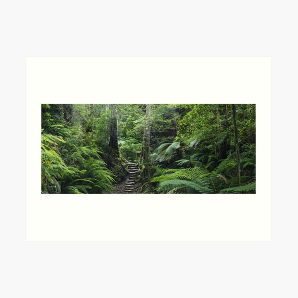 The Fernery, Grand Canyon. Art Print