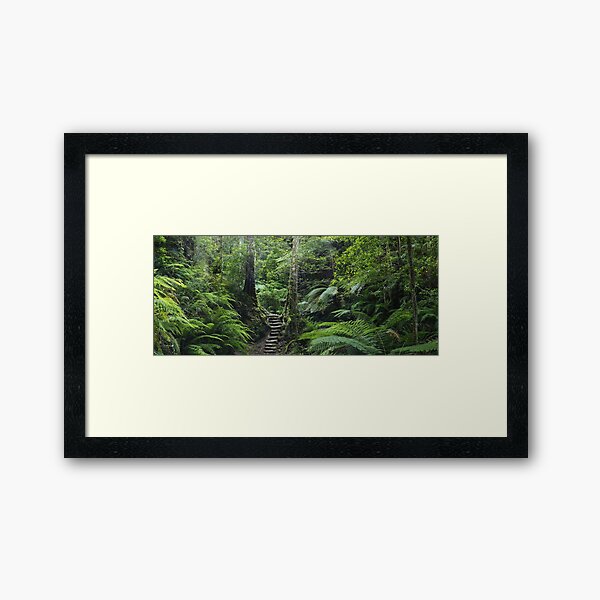 Item preview, The Fernery, Grand Canyon. designed and sold by Andy Newman.
