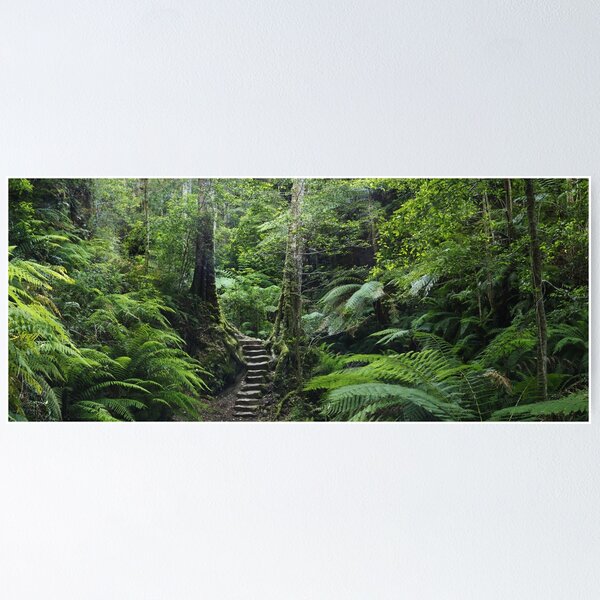 Item preview, The Fernery, Grand Canyon. designed and sold by Andy Newman.