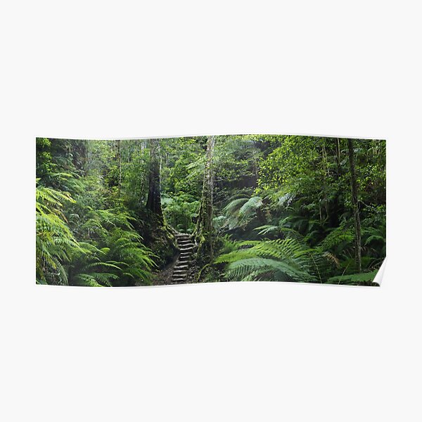 The Fernery, Grand Canyon. Poster