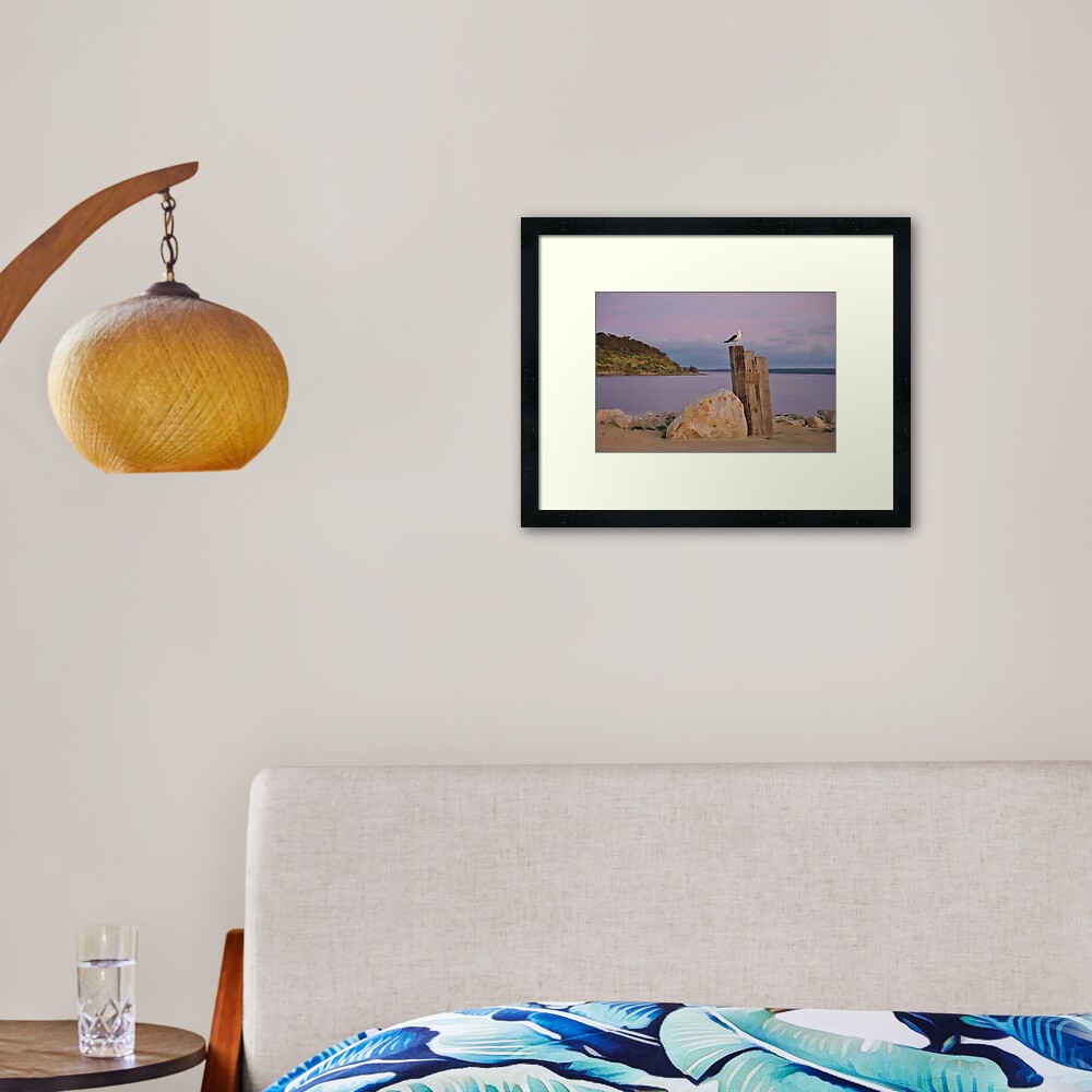 "daybreak" ~ Bay of Shoals, Kangaroo Island Framed Art Print