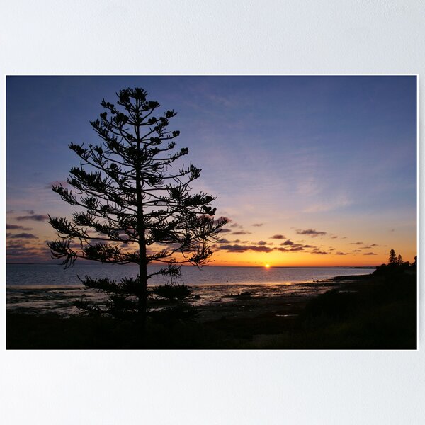 Item preview, "sunrise" ~ Kingscote, Kangaroo Island designed and sold by rogersmith.