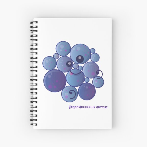 Staphylococcus aureus Spiralblock