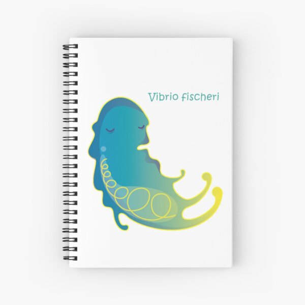 Vibrio fischeri Spiralblock