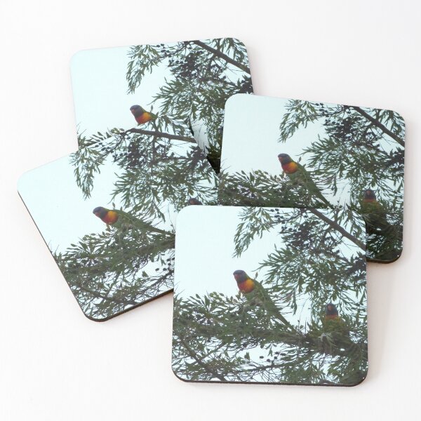 Item preview, Two Rainbow Lorikeets in a Grevillea Robusta, Adelaide Foothills. Sth. Australia. designed and sold by RitaBlom.