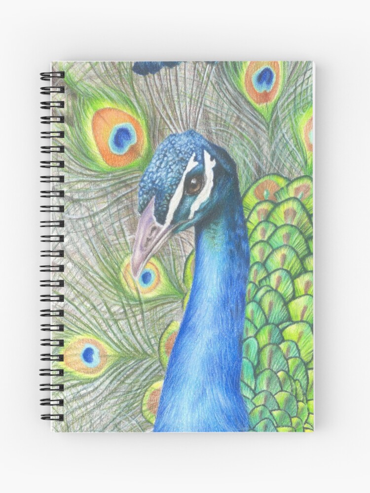 The peacock sketch draw in 2020✍️