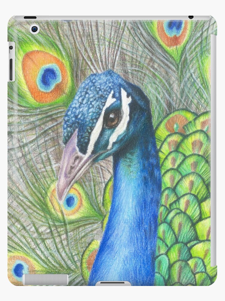 A Beautiful Colored Pencil Drawing of a Peacock - Etsy