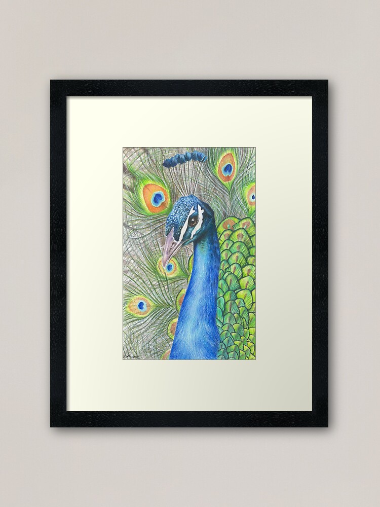 Pastel Peacock Oil Painting Sketch · Creative Fabrica