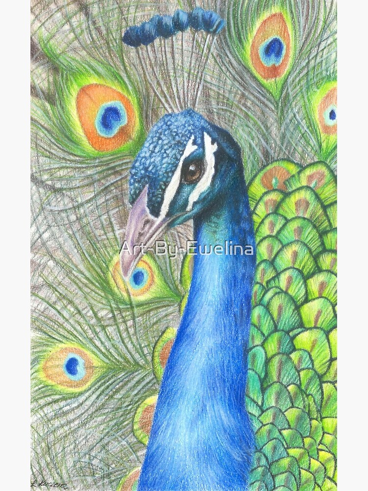 Mixed Media Peacock (watercolor, colored pencil) by leiriin on DeviantArt