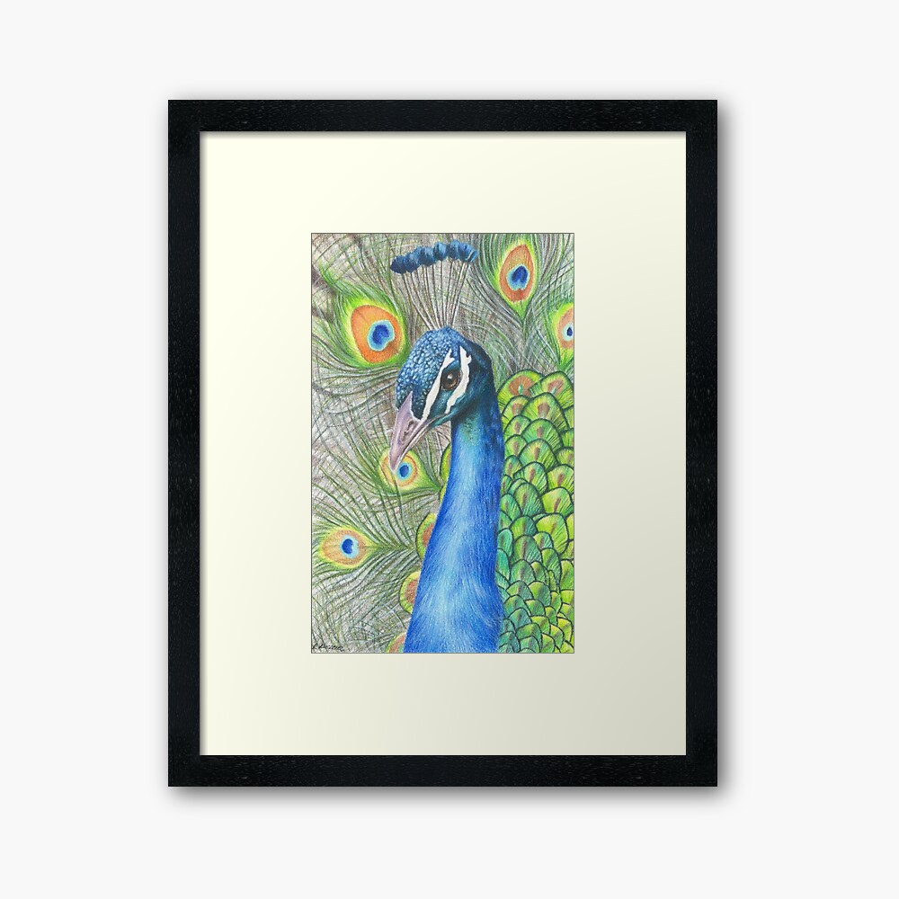 Explore the Best Peacock Art | DeviantArt
