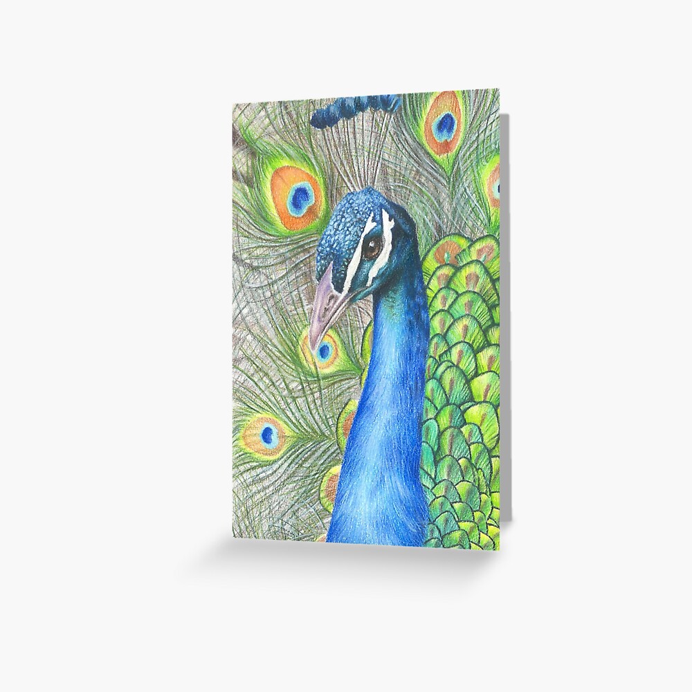 Premium Photo | A watercolor drawing of a peacock with a blue tail.