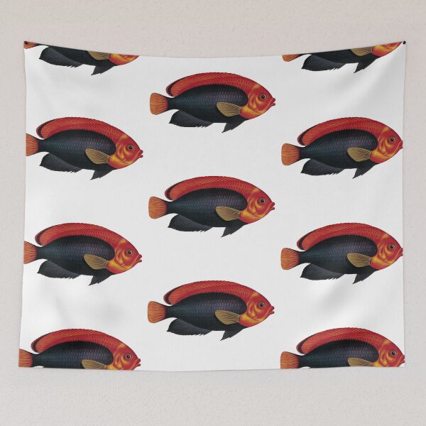 Item preview, Fish Art - Fisher's angelfish - Vintage Print designed and sold by Studio66Designs.