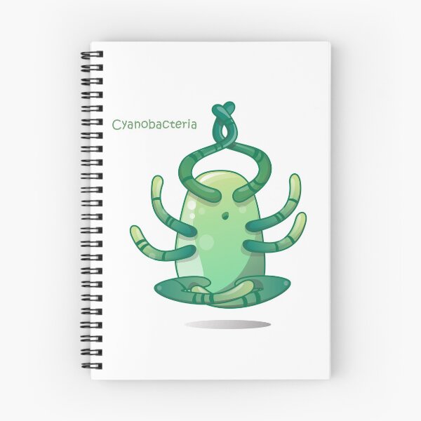 Item preview, cyanobacteria designed and sold by BiocraftLab.