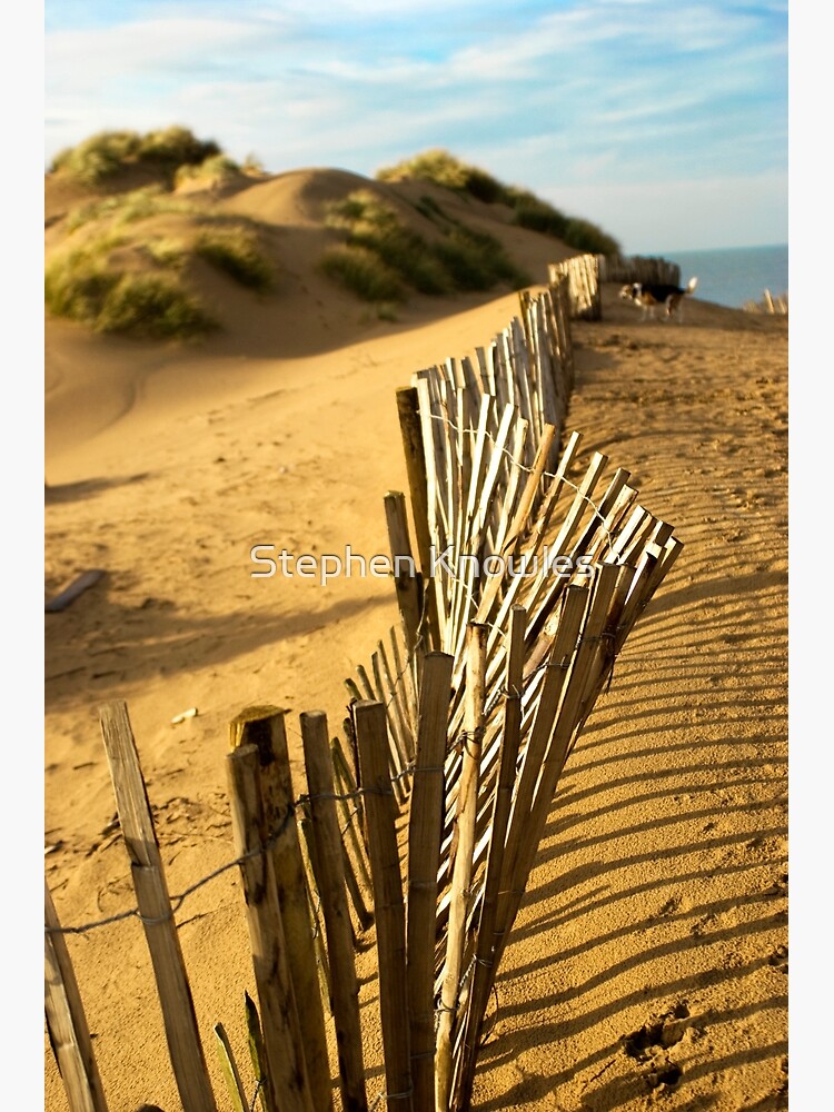 Fence at Formby Beach by stephenknowles