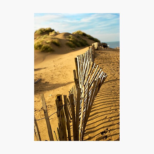 Fence at Formby Beach Photographic Print
