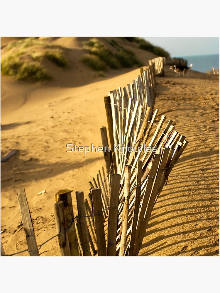 Fence at Formby Beach by stephenknowles