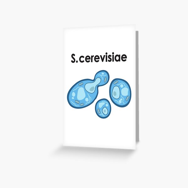 S. cerevisiae Grußkarte