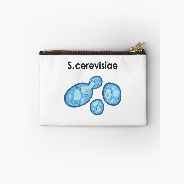 Item preview, S. cerevisiae designed and sold by BiocraftLab.