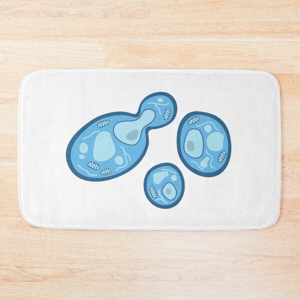 Item preview, S. cerevisiae designed and sold by BiocraftLab.