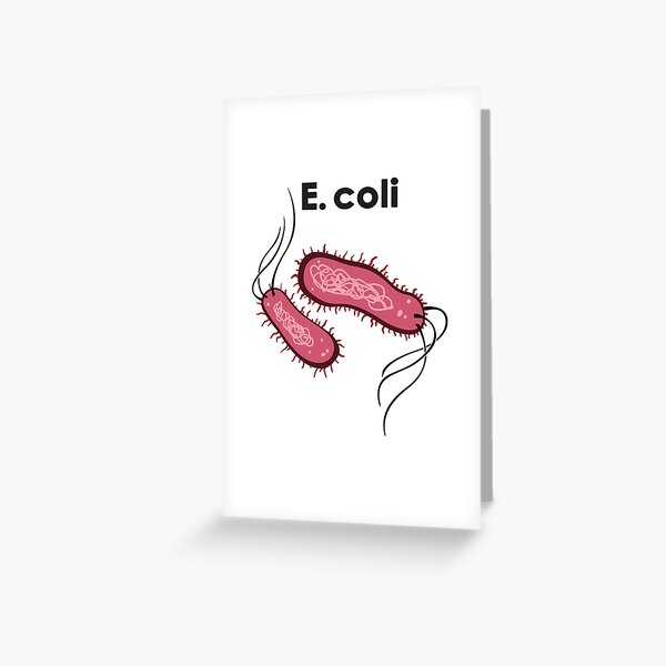E. coli Grußkarte