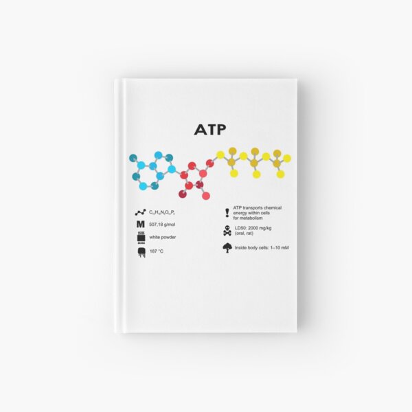 ATP Molekül Notizbuch