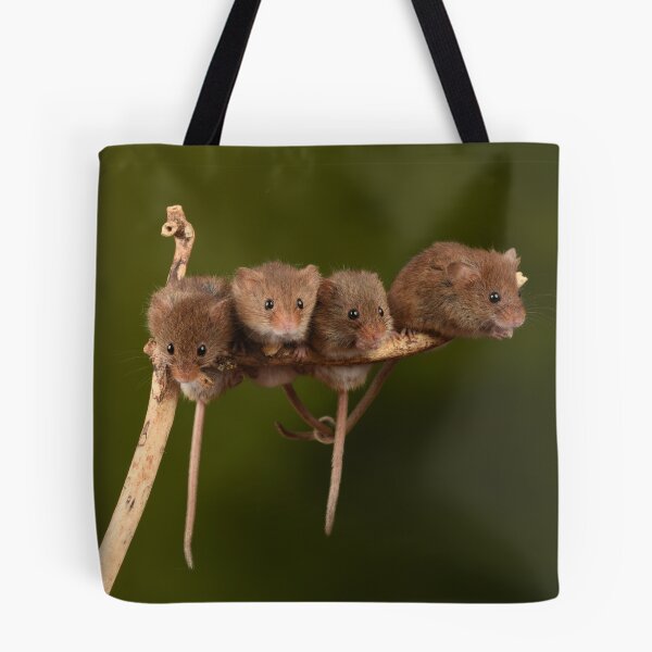Item preview, Harvest Mice designed and sold by A Solé.