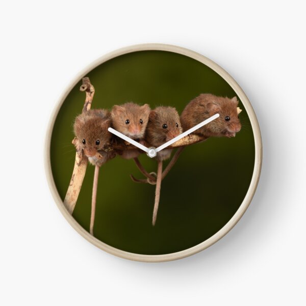 Item preview, Harvest Mice designed and sold by A Solé.