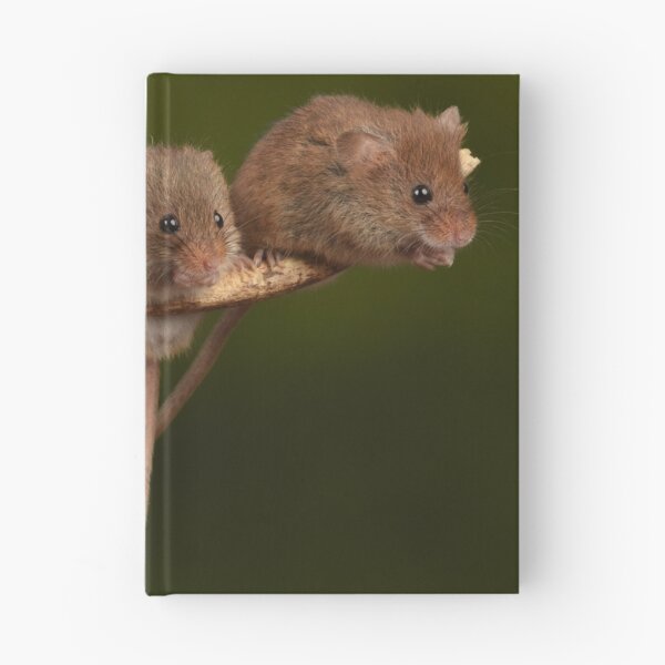 Item preview, Harvest Mice designed and sold by A Solé.