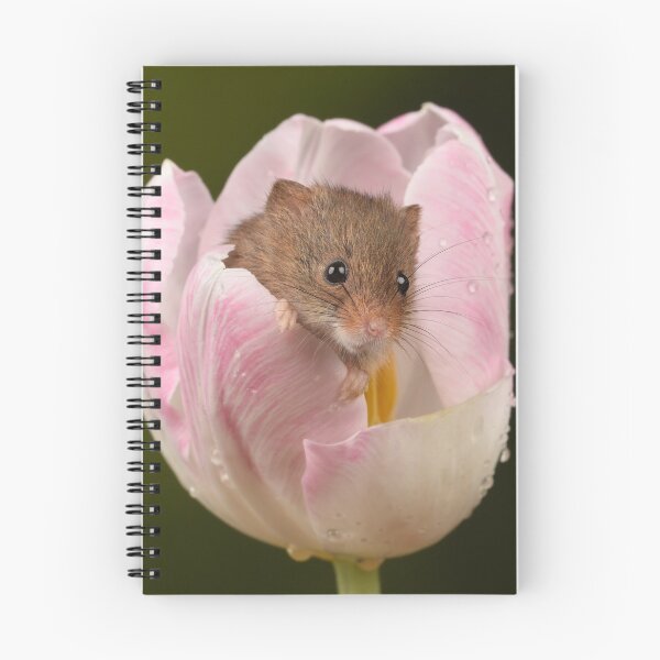 Item preview, Harvest Mouse in tulip designed and sold by A Solé.