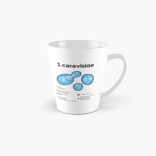 S. cerevisiae Tasse (konisch)
