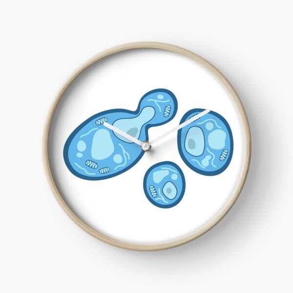Item preview, S. cerevisiae designed and sold by BiocraftLab.