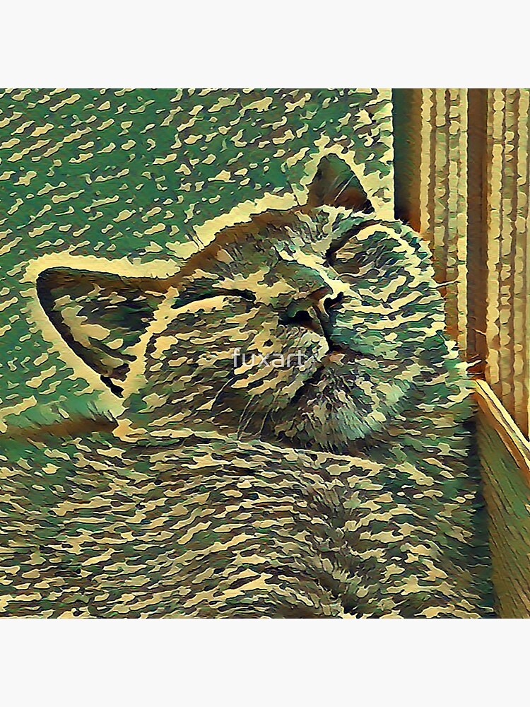 SCHLAFENDE KATZE von fuxart