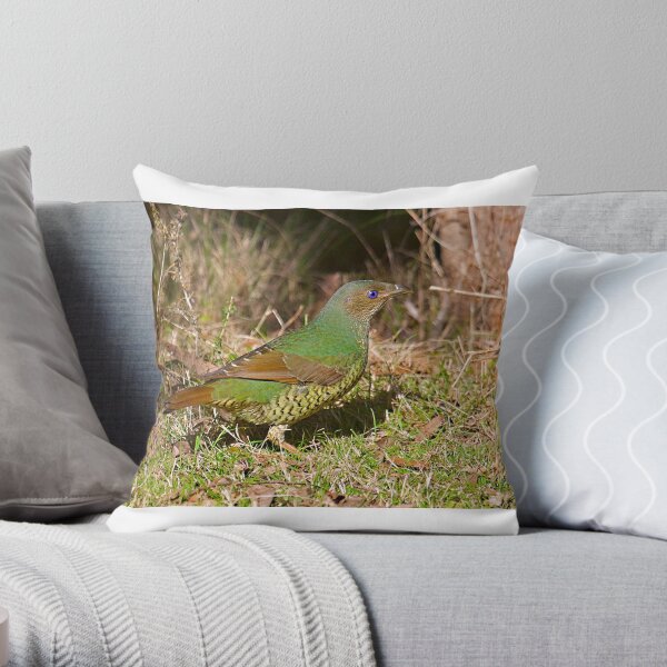 Female Satin Bower Bird Throw Pillow