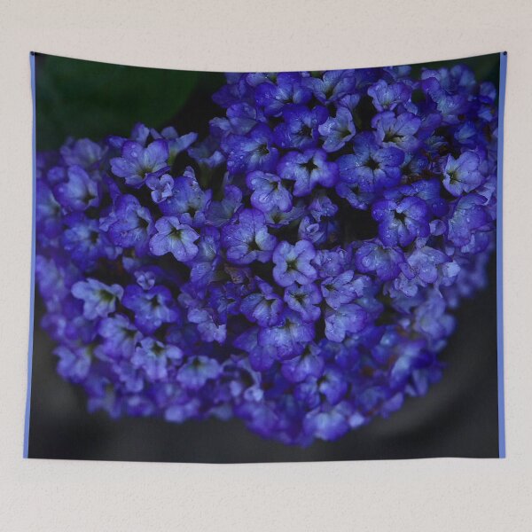 Item preview, Flowers (MKW-F.110) designed and sold by Katrina Morgan.