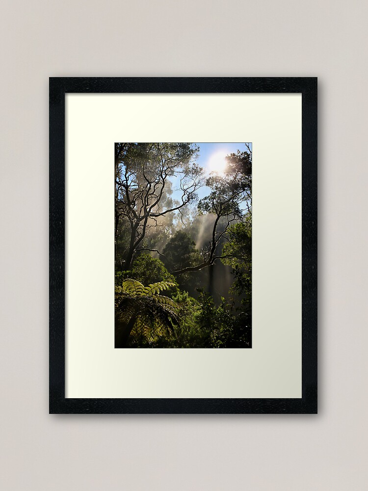 Thumbnail 1 of 7, Framed Art Print, Morning Mist designed and sold by Rivergirl.