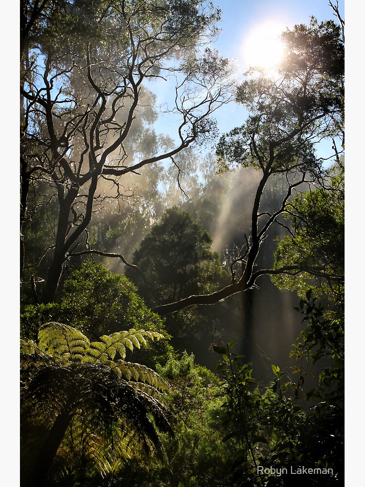Thumbnail 7 of 7, Framed Art Print, Morning Mist designed and sold by Rivergirl.