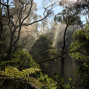 Artwork thumbnail, Morning Mist by Robyn Lakeman