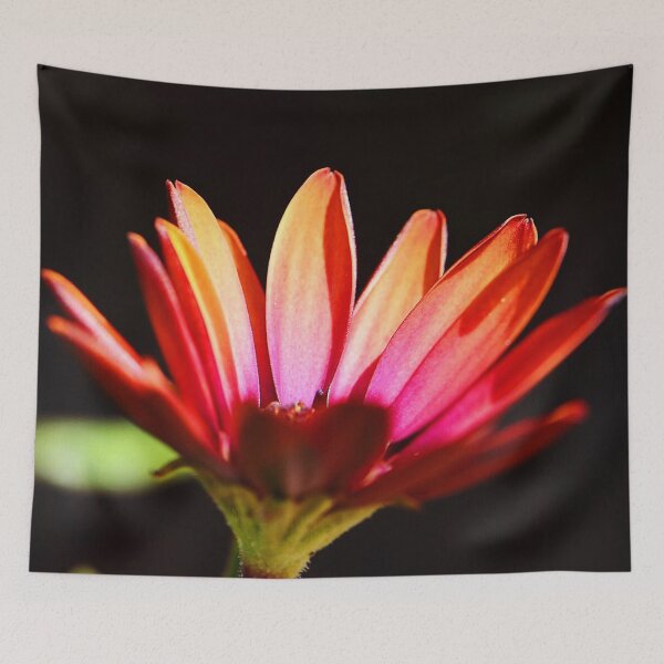 Item preview, Flower (MKW-F.123) designed and sold by Katrina Morgan.