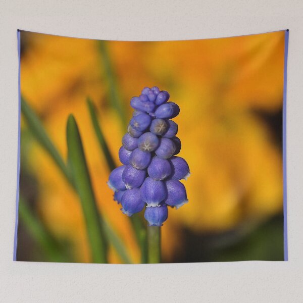 Item preview, Muscari (MKW-F.126) designed and sold by Katrina Morgan.