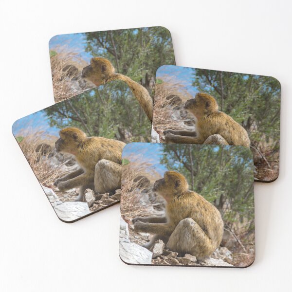 Item preview, The famous apes of Gibraltar designed and sold by Ben Gingell.