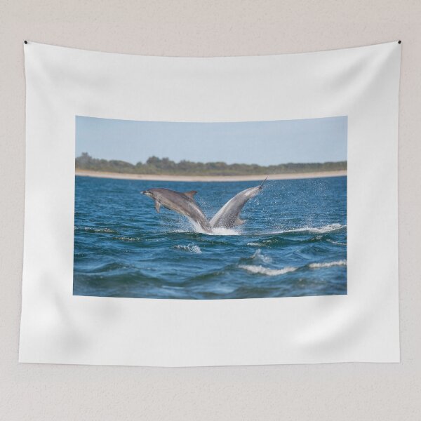 Item preview, breaching dolphins designed and sold by chanonry.