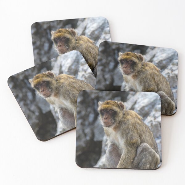 Item preview, The famous apes of Gibraltar designed and sold by Ben Gingell.