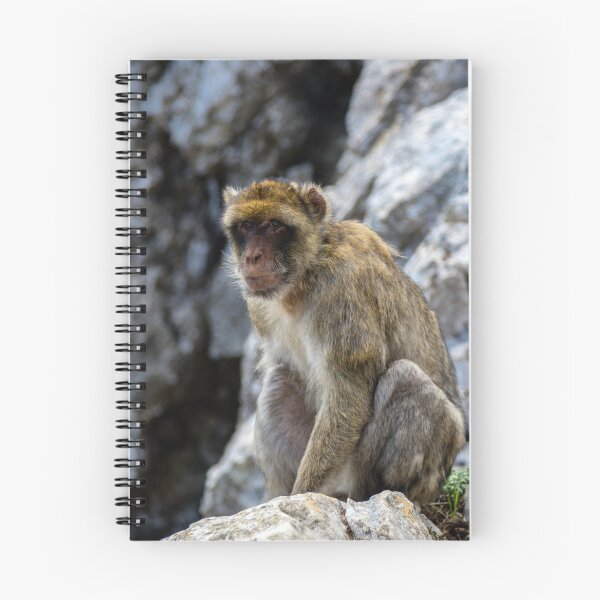 Item preview, The famous apes of Gibraltar designed and sold by Ben Gingell.