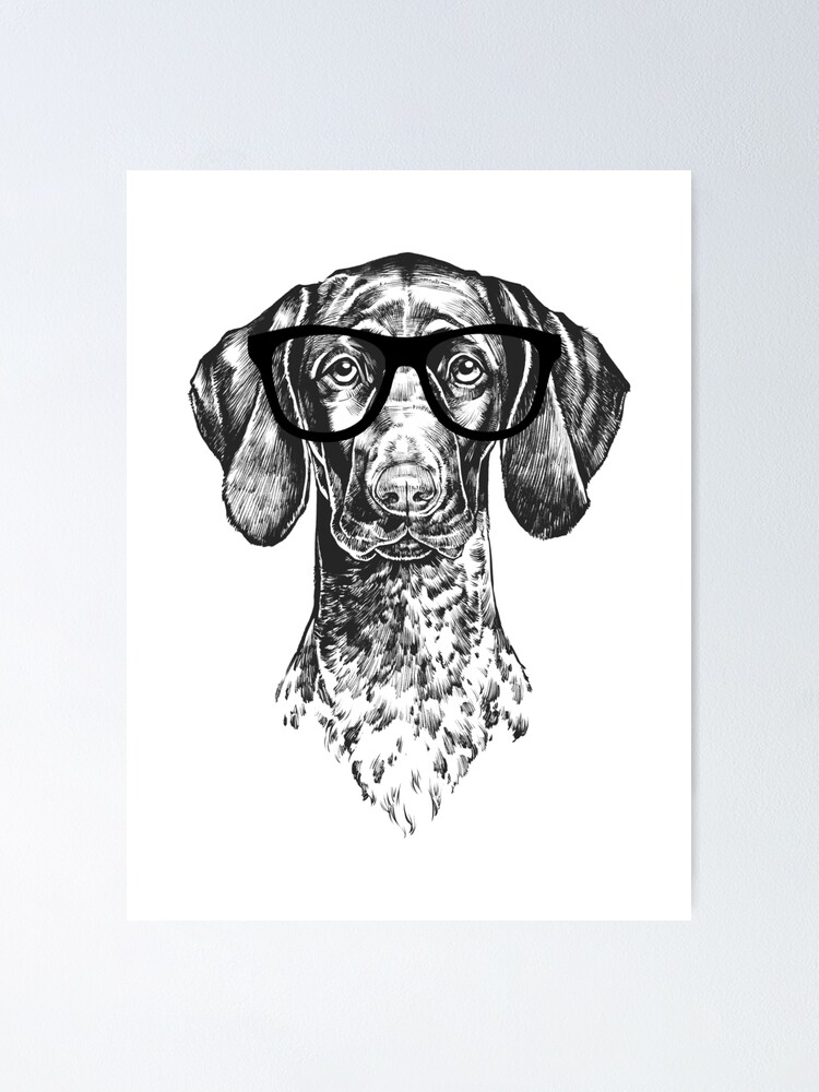 German shorthaired pointer clothing sales line