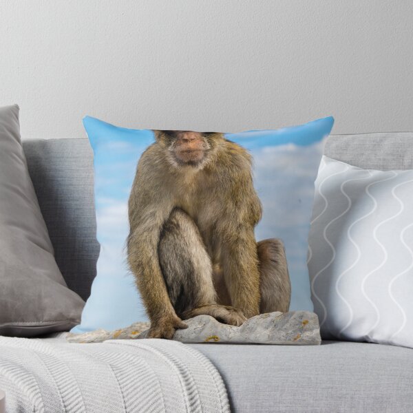 Item preview, The famous apes of Gibraltar designed and sold by Ben Gingell.