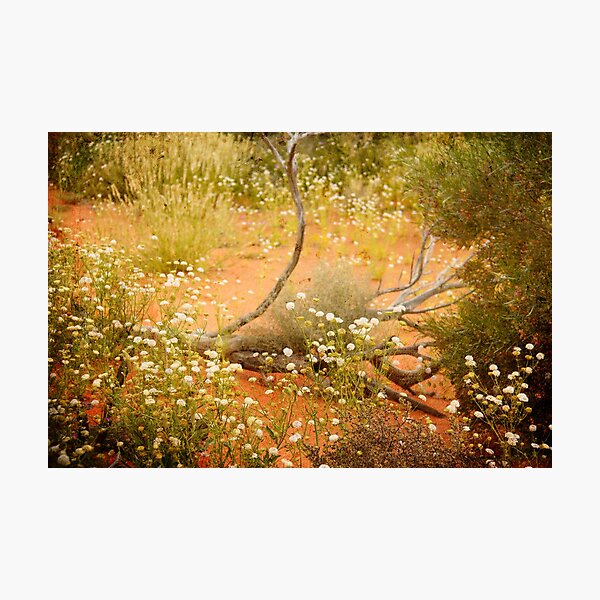Item preview, Wildflowers - Roxby Downs designed and sold by Steph Ball.