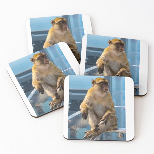 Item preview, The famous apes of Gibraltar designed and sold by Ben Gingell.